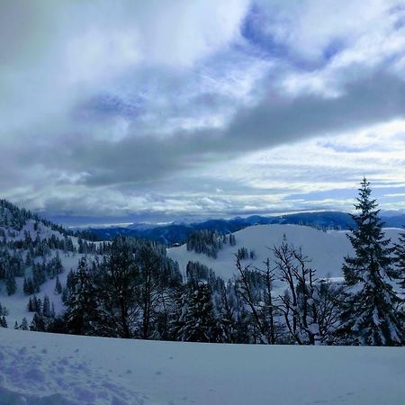 Pension Edelweiss Top 25 Gosau Bagian luar foto
