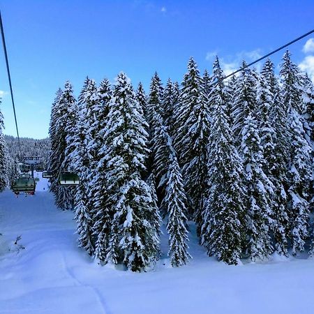 Pension Edelweiss Top 25 Gosau Bagian luar foto