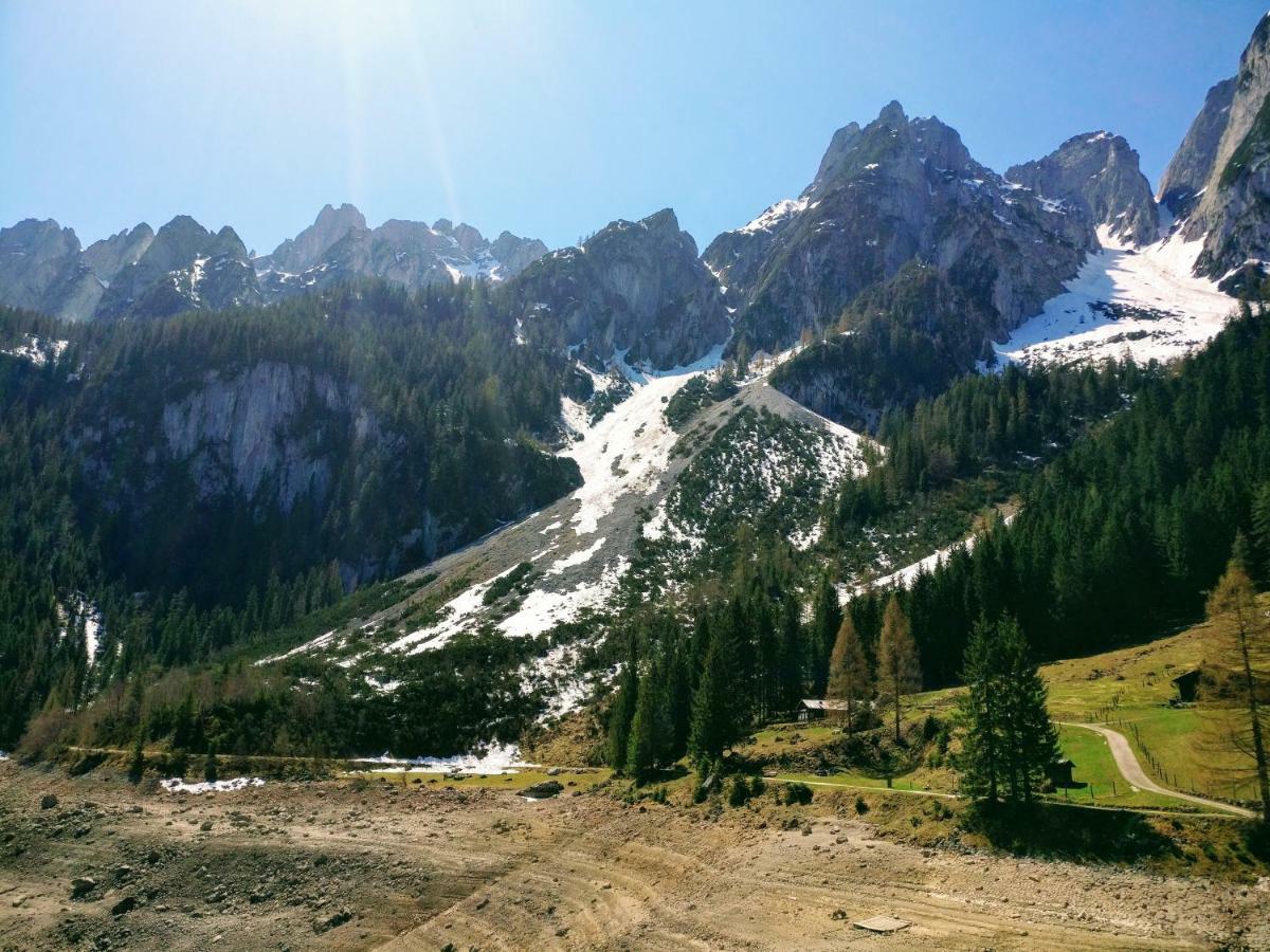 Pension Edelweiss Top 25 Gosau Bagian luar foto