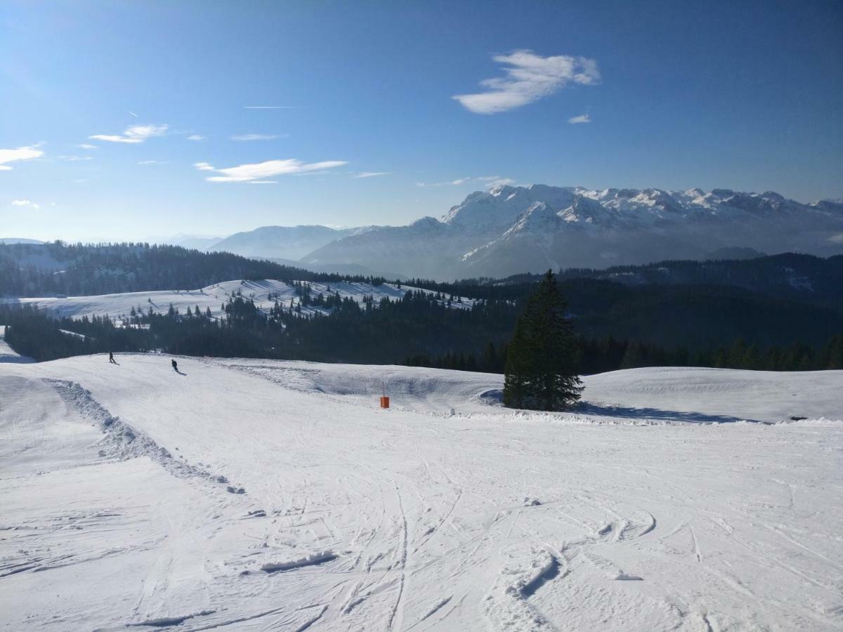 Pension Edelweiss Top 25 Gosau Bagian luar foto