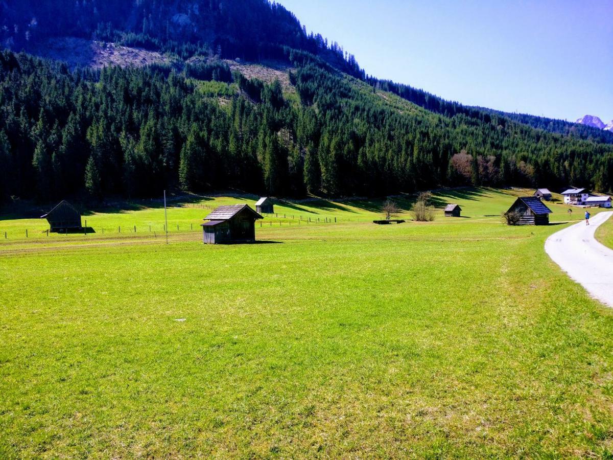 Pension Edelweiss Top 25 Gosau Bagian luar foto