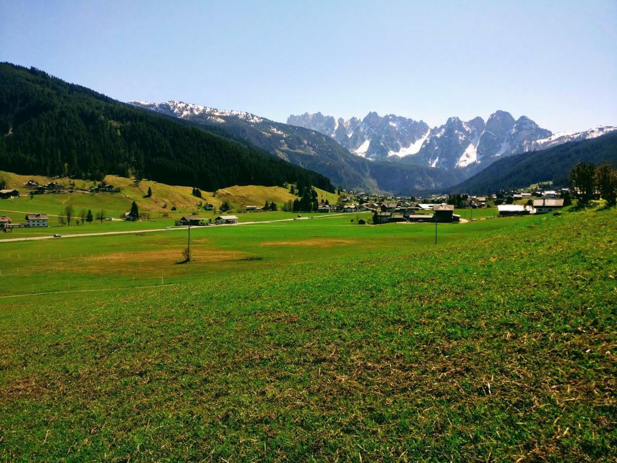 Pension Edelweiss Top 25 Gosau Bagian luar foto