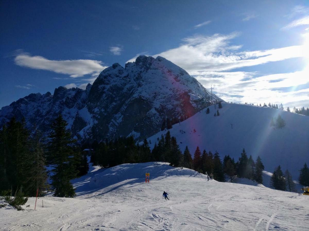 Pension Edelweiss Top 25 Gosau Bagian luar foto