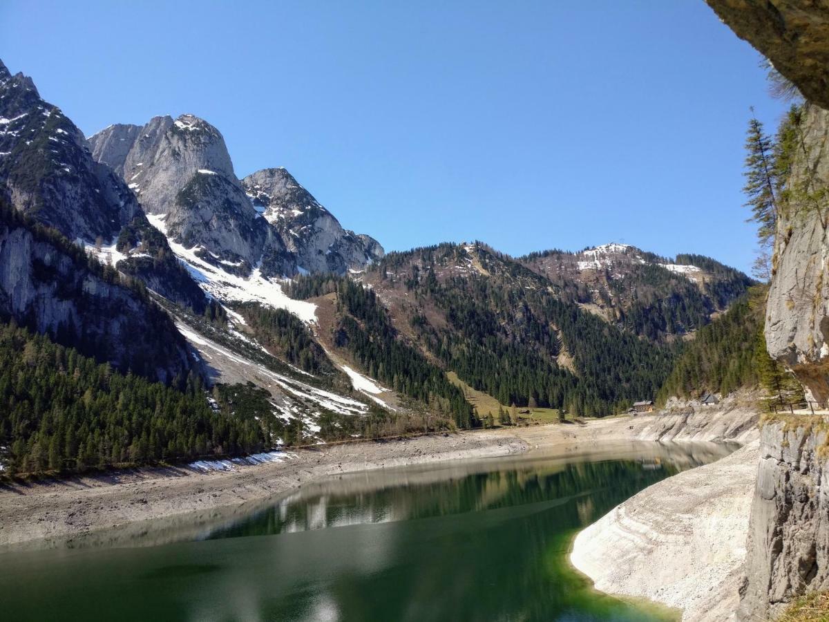 Pension Edelweiss Top 25 Gosau Bagian luar foto