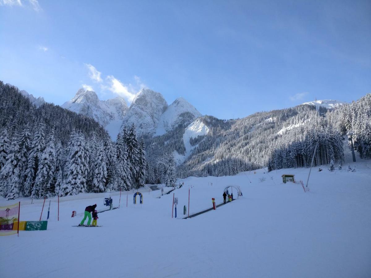 Pension Edelweiss Top 25 Gosau Bagian luar foto