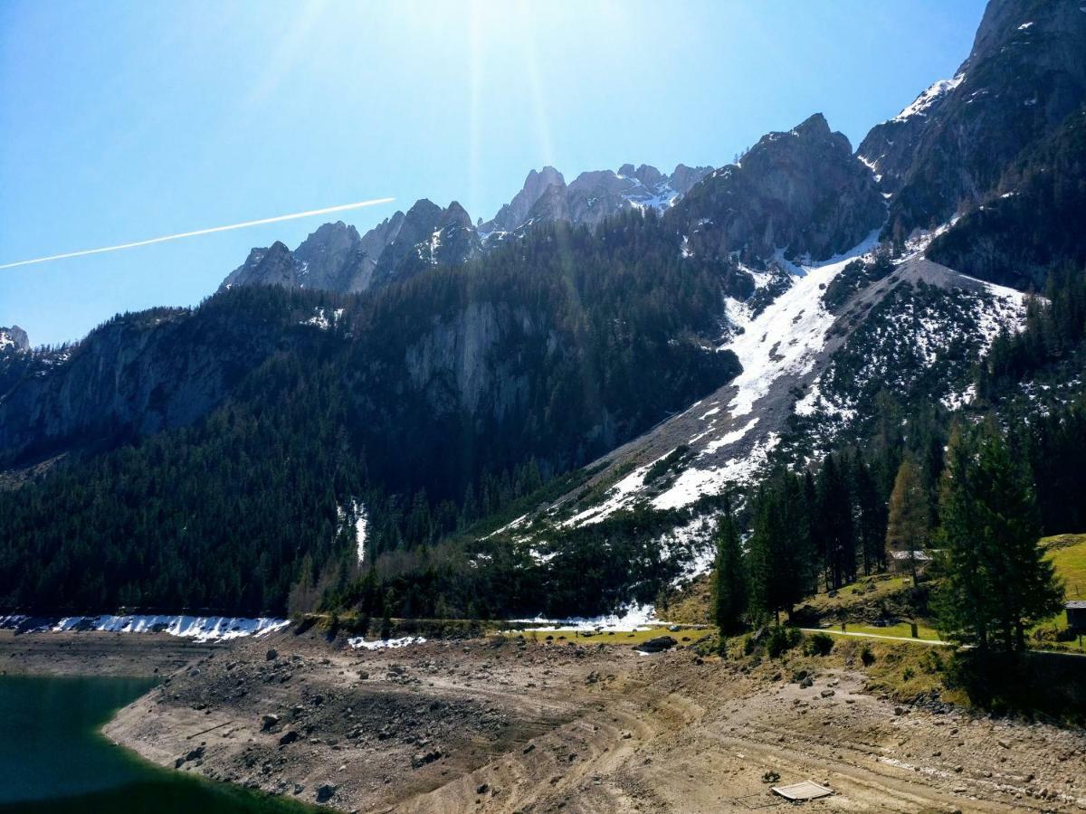 Pension Edelweiss Top 25 Gosau Bagian luar foto