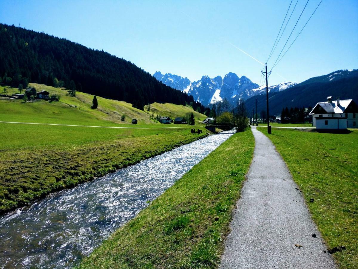 Pension Edelweiss Top 25 Gosau Bagian luar foto