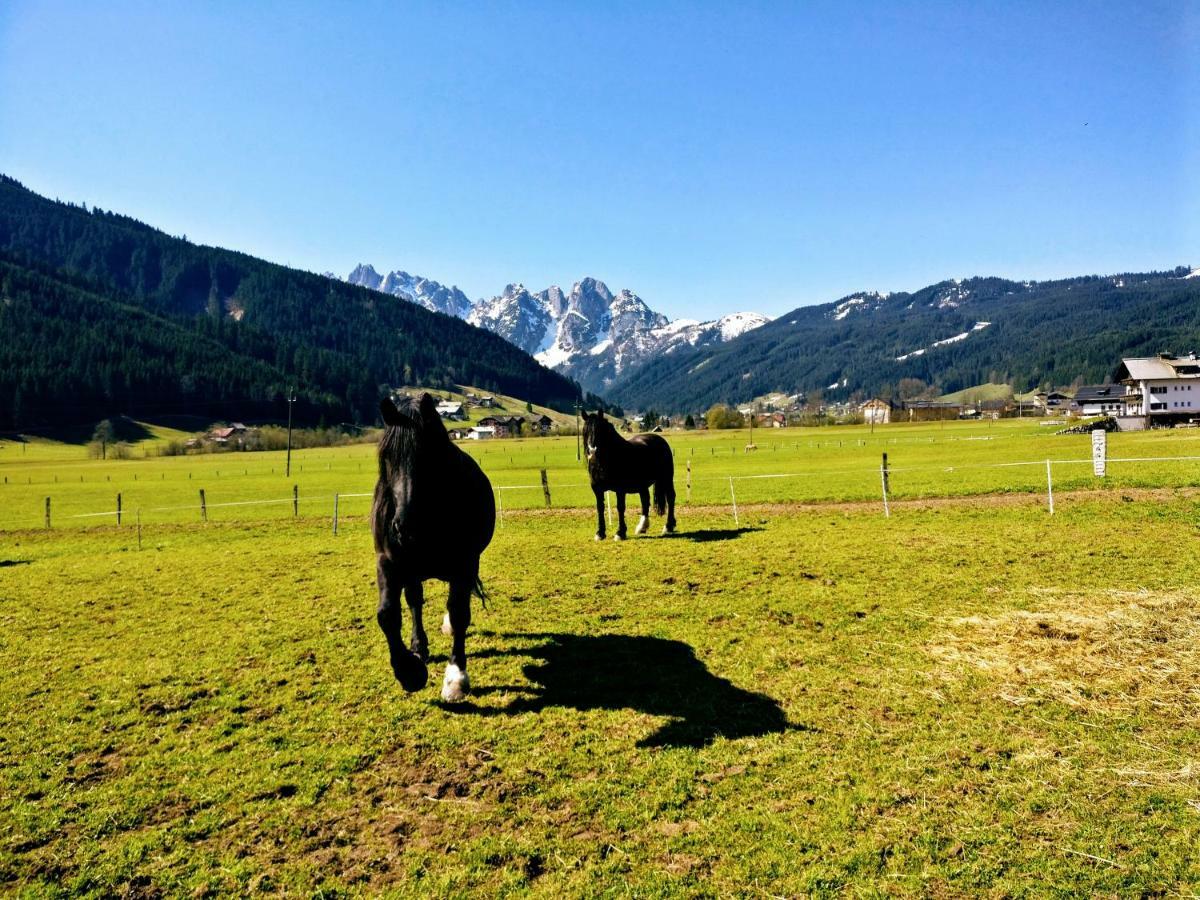 Pension Edelweiss Top 25 Gosau Bagian luar foto