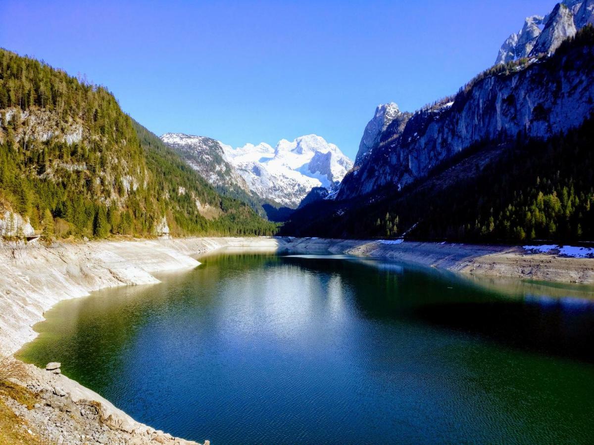 Pension Edelweiss Top 25 Gosau Bagian luar foto