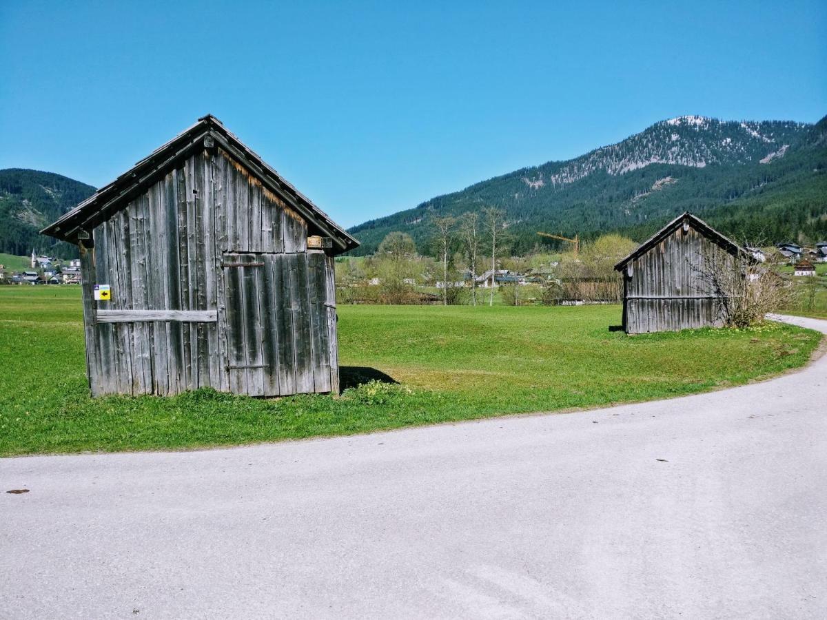 Pension Edelweiss Top 25 Gosau Bagian luar foto