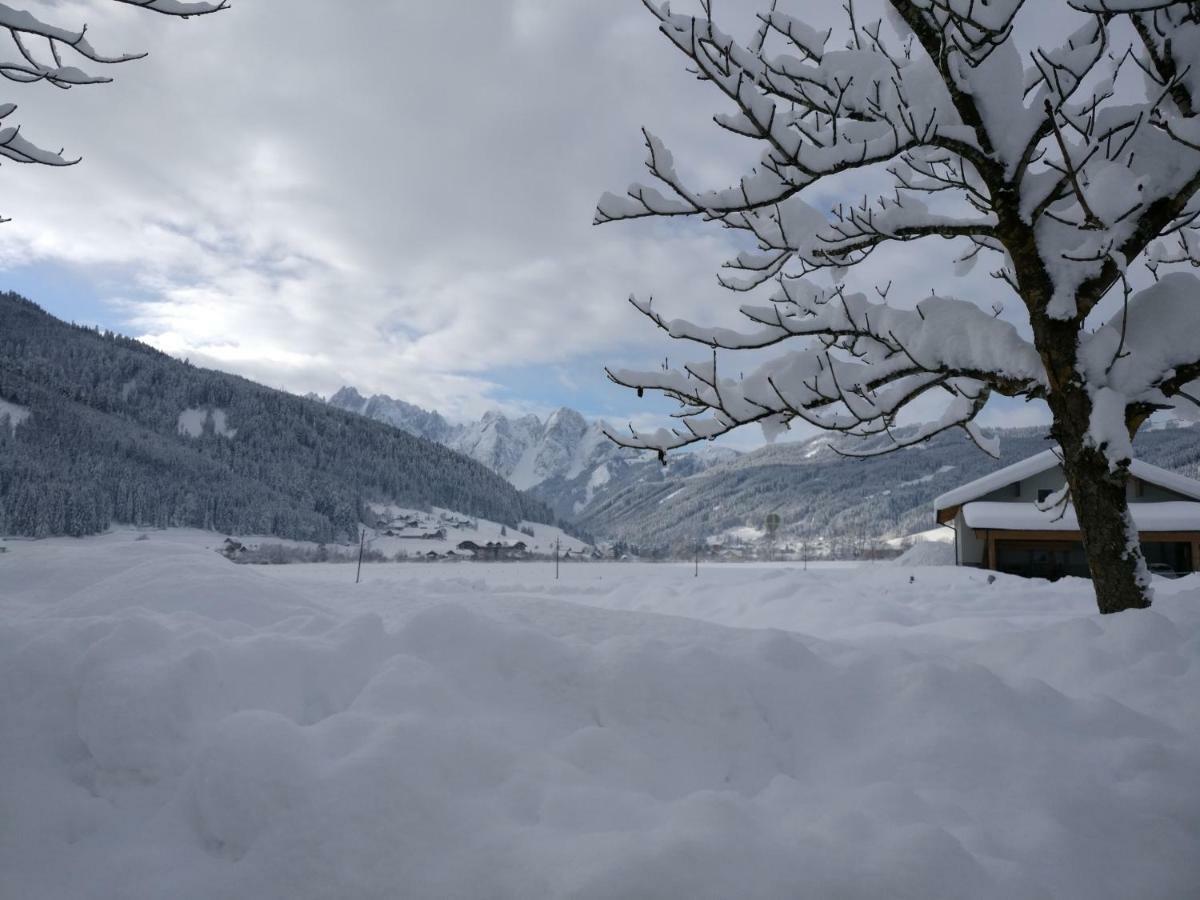 Pension Edelweiss Top 25 Gosau Bagian luar foto