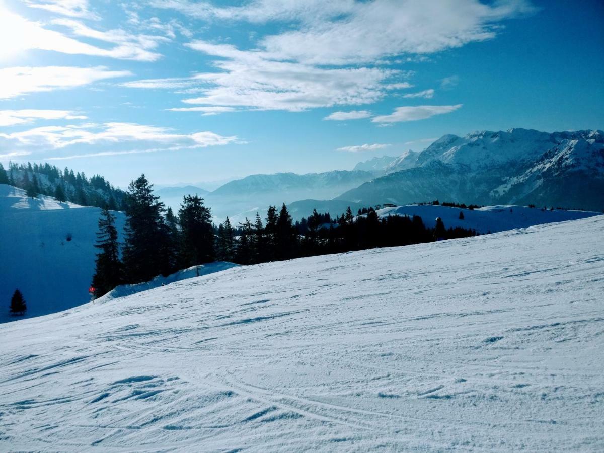 Pension Edelweiss Top 25 Gosau Bagian luar foto