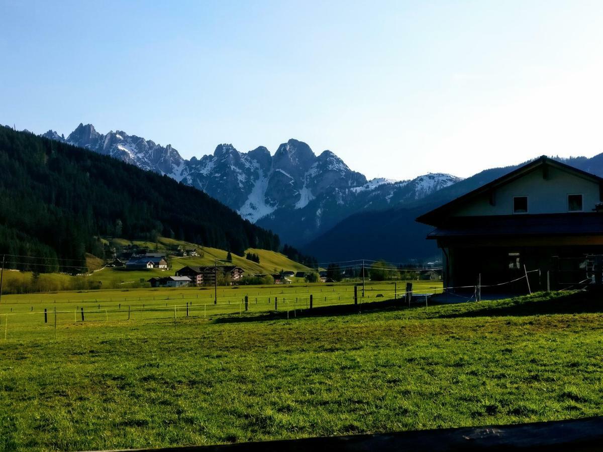 Pension Edelweiss Top 25 Gosau Bagian luar foto