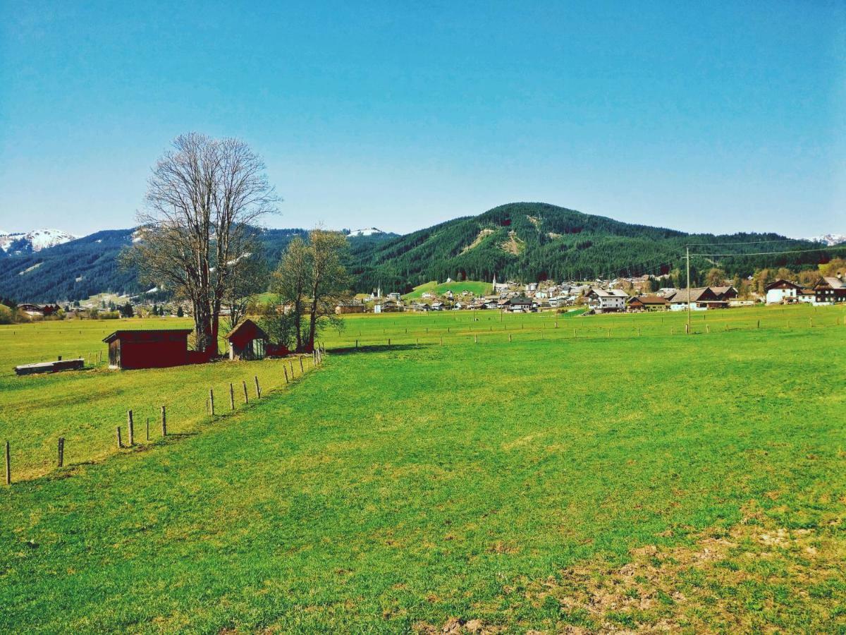 Pension Edelweiss Top 25 Gosau Bagian luar foto