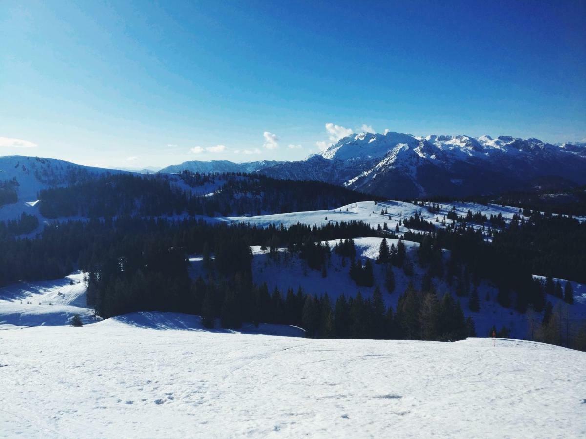 Pension Edelweiss Top 25 Gosau Bagian luar foto