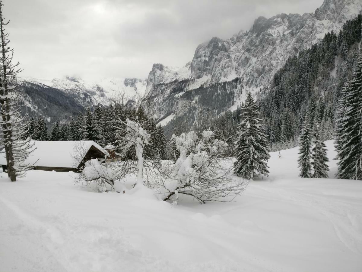 Pension Edelweiss Top 25 Gosau Bagian luar foto