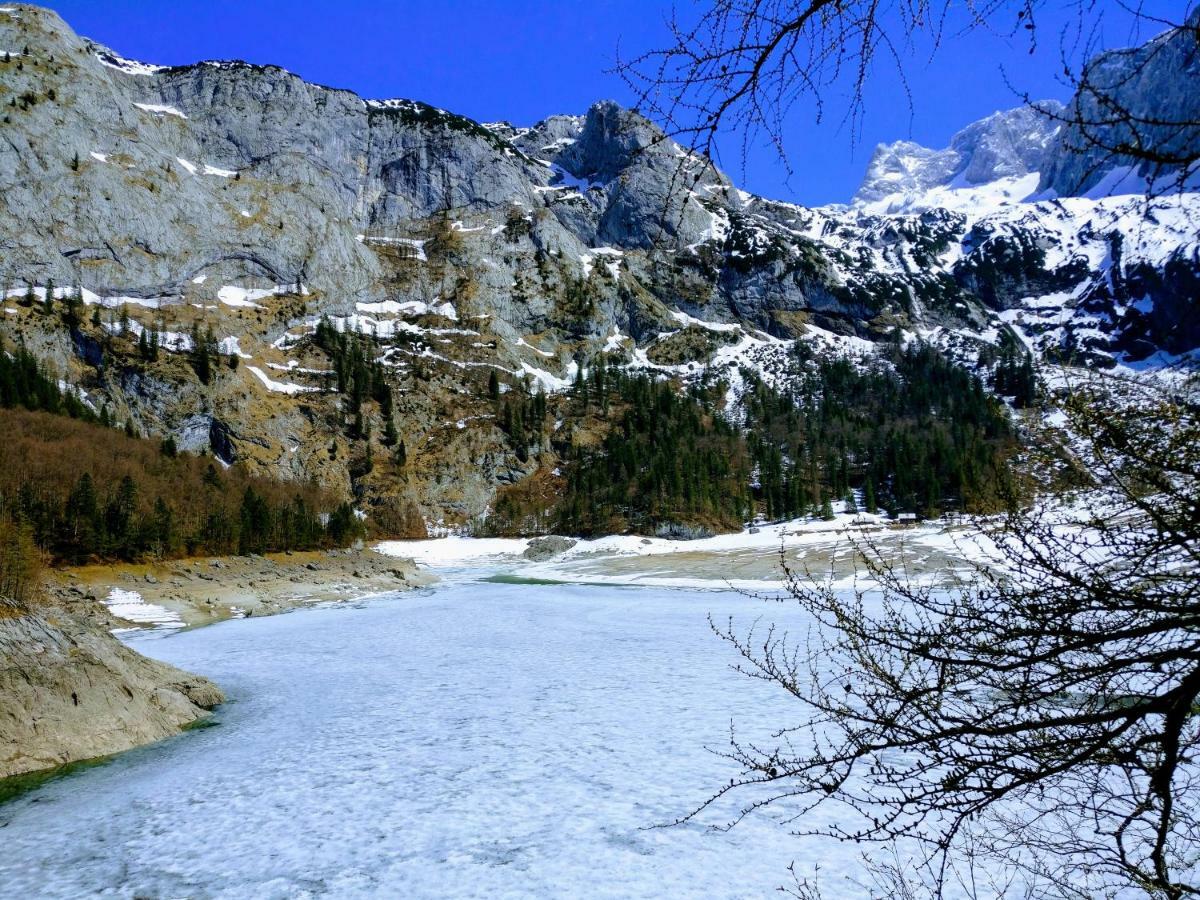 Pension Edelweiss Top 25 Gosau Bagian luar foto