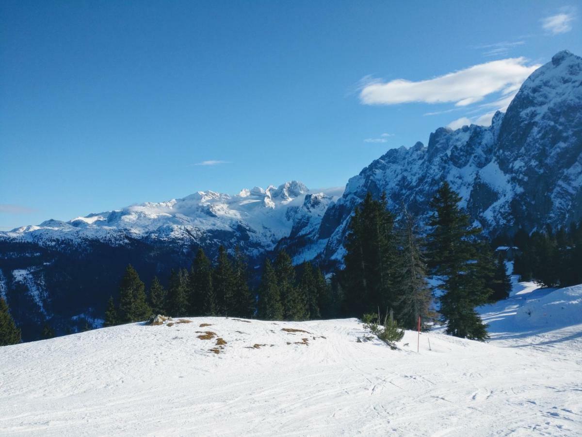 Pension Edelweiss Top 25 Gosau Bagian luar foto