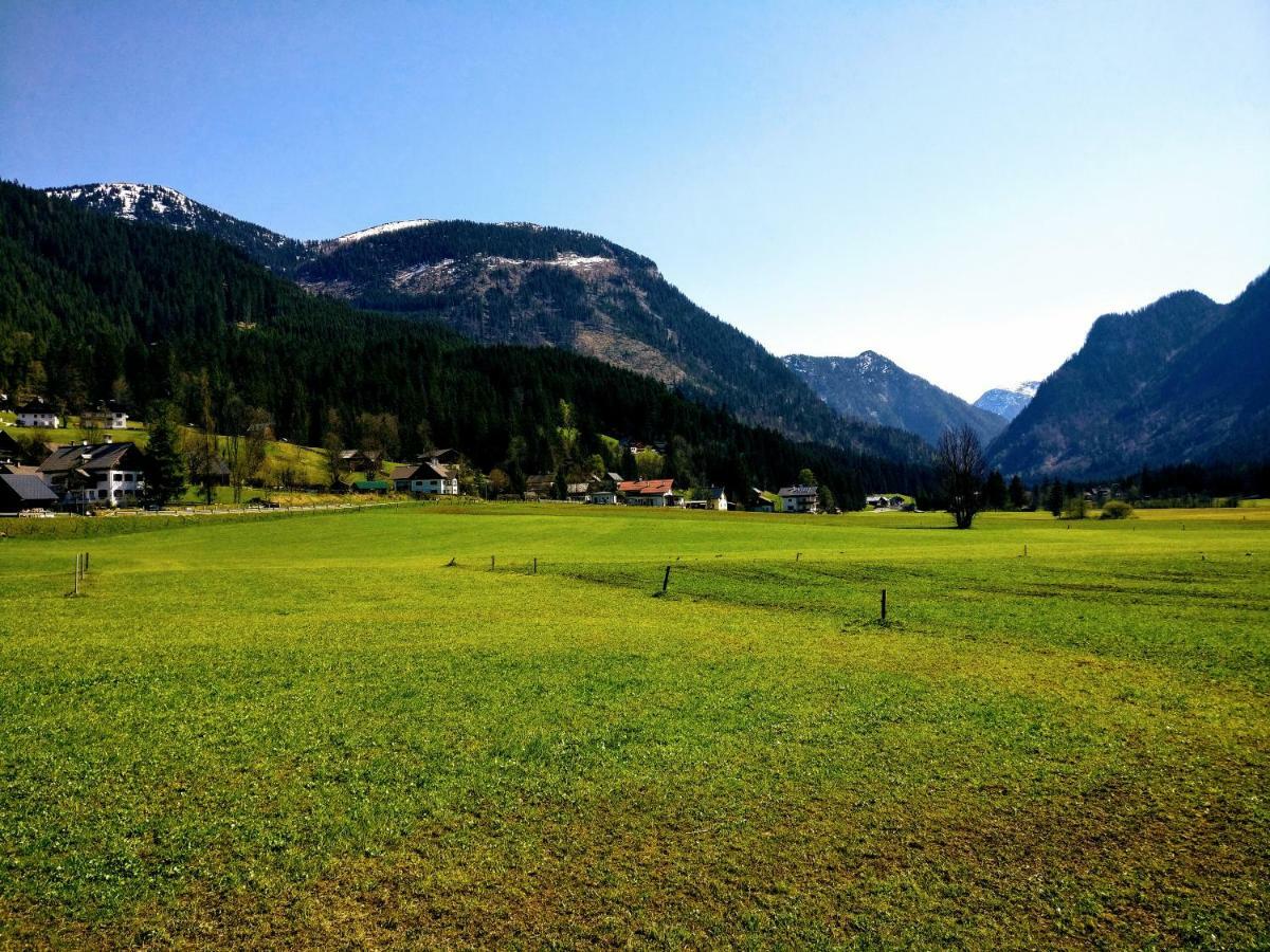 Pension Edelweiss Top 25 Gosau Bagian luar foto
