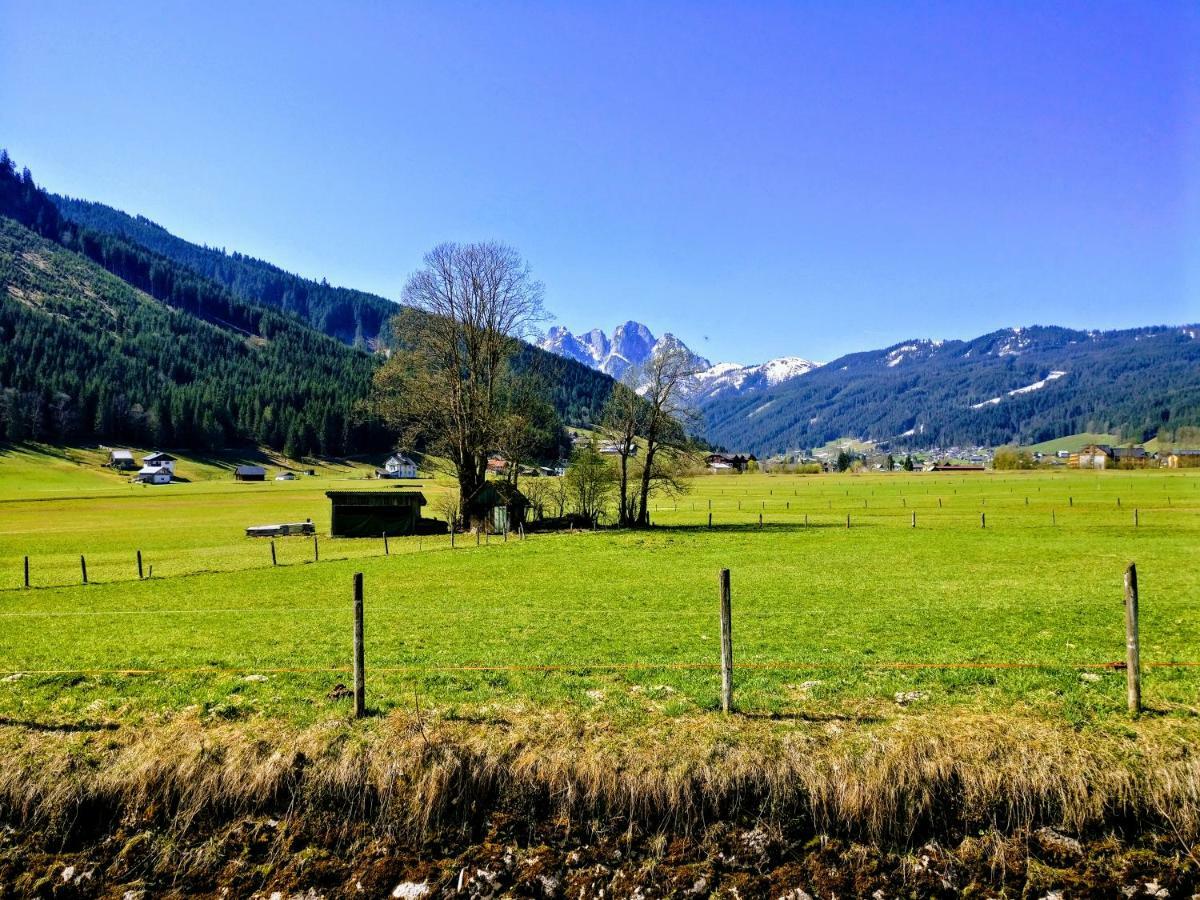 Pension Edelweiss Top 25 Gosau Bagian luar foto