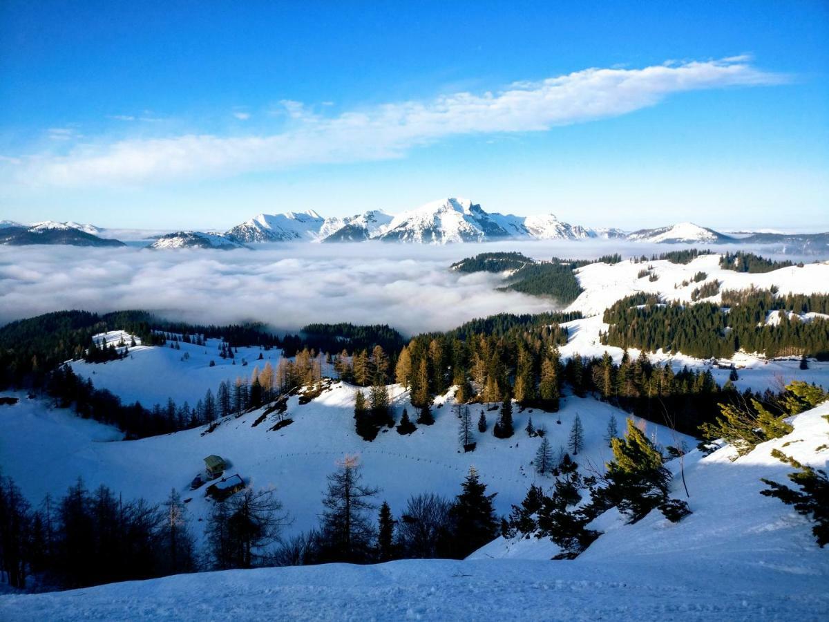 Pension Edelweiss Top 25 Gosau Bagian luar foto