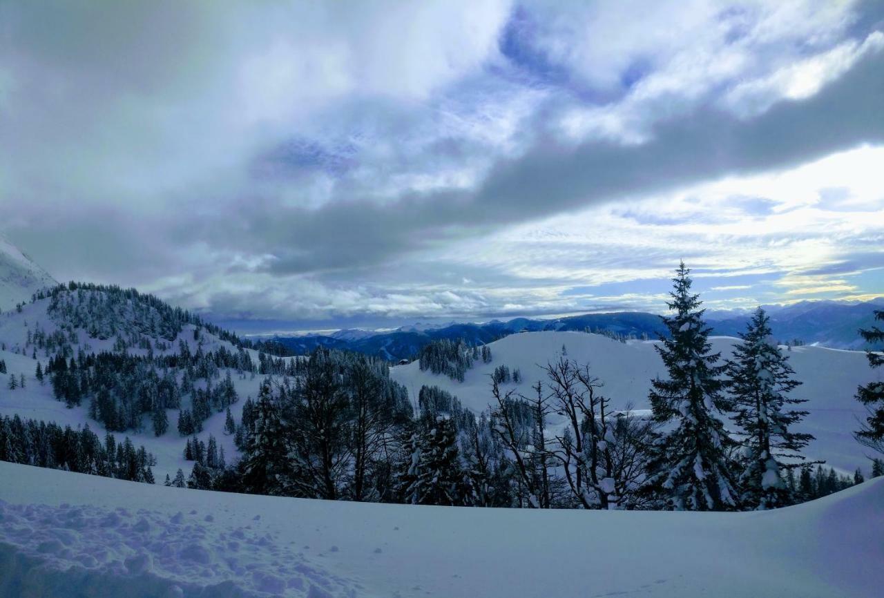 Pension Edelweiss Top 25 Gosau Bagian luar foto