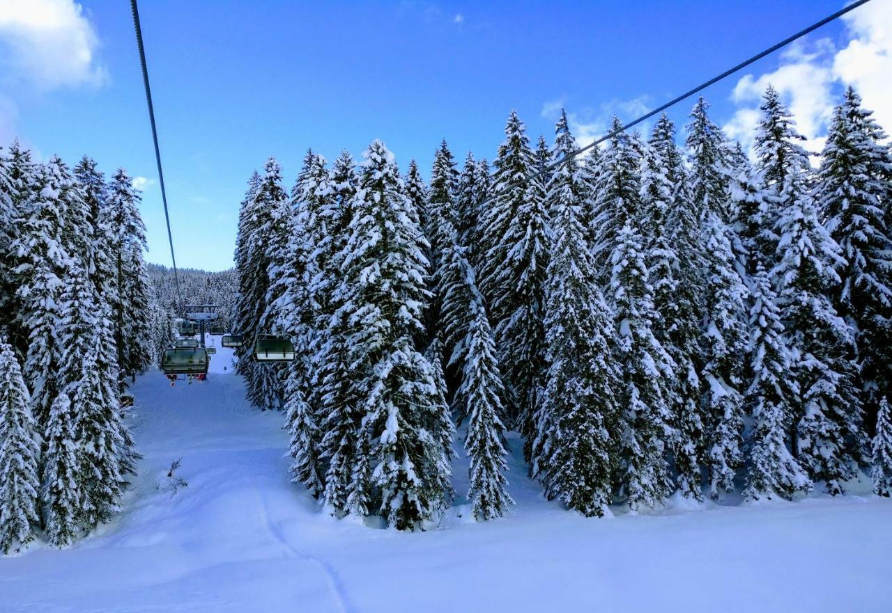 Pension Edelweiss Top 25 Gosau Bagian luar foto