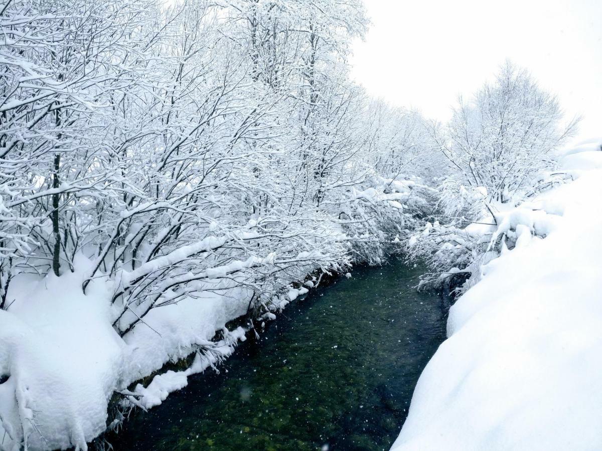 Pension Edelweiss Top 25 Gosau Bagian luar foto