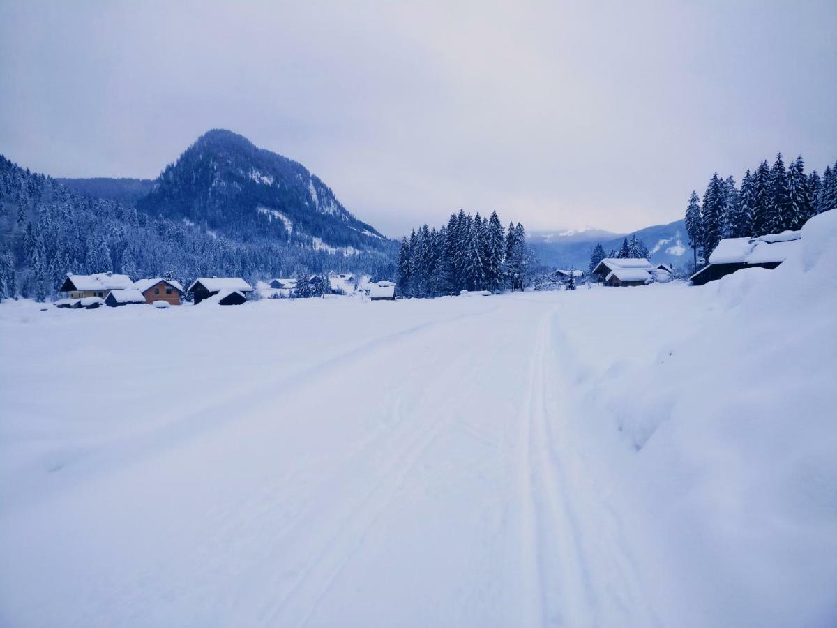 Pension Edelweiss Top 25 Gosau Bagian luar foto