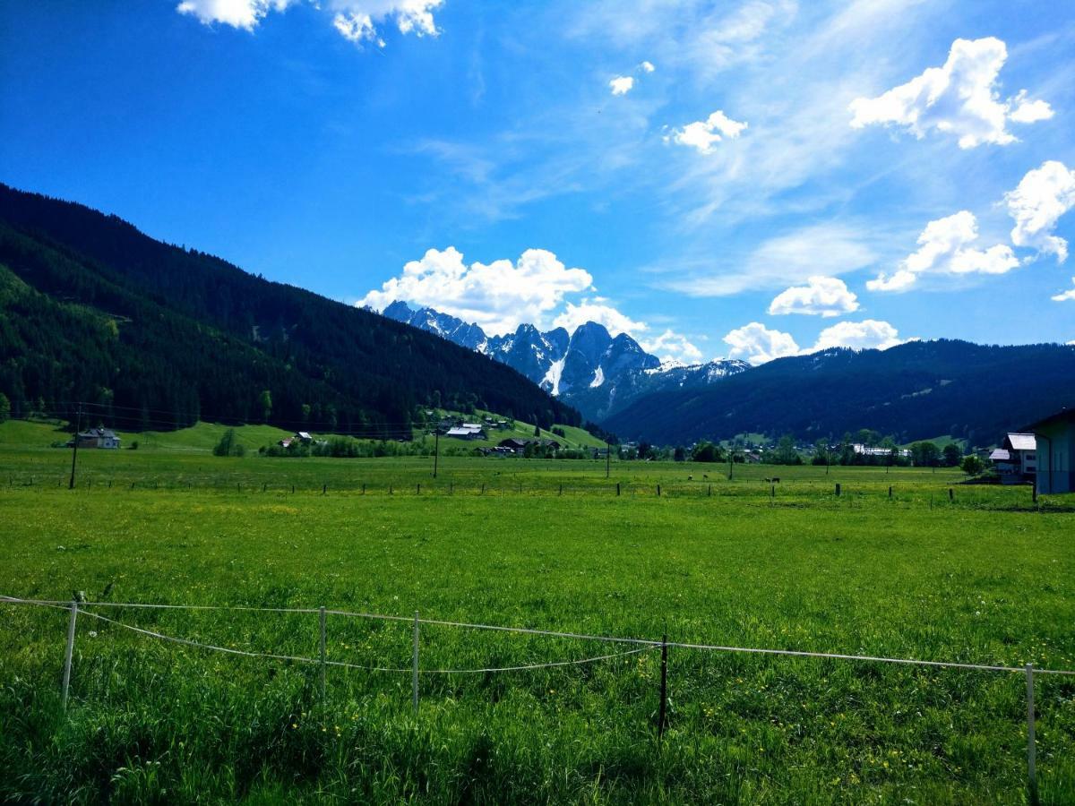 Pension Edelweiss Top 25 Gosau Bagian luar foto